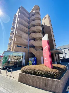 ネオニシキの画像