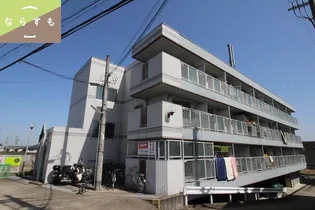 ヴィーブルの画像