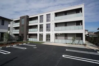 ヴィオラ トレ ルチアの画像