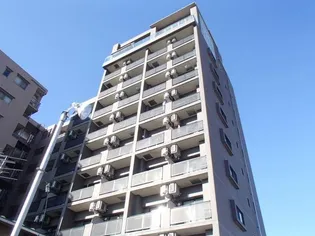 新江古田ST HOUSEの画像