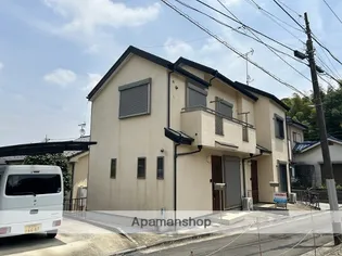 ステラ岩崎の画像