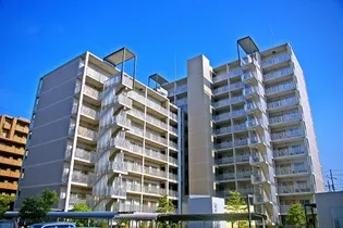 OPH山本の画像