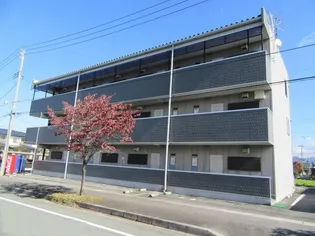 ライフステージⅡ南館西の画像