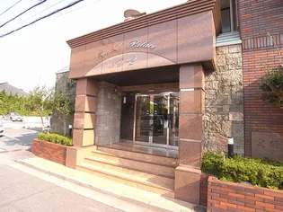 グランドパレスNS-2【2階】の外観