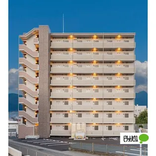 ヴィガラスTの画像