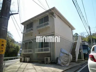 ハイビスカスの画像