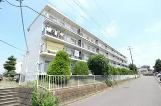 あべりあの画像