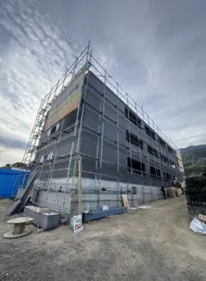 アマゾン リリーの画像