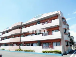 カトルセゾンの画像