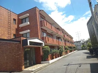 V スクエアSUGITAの画像