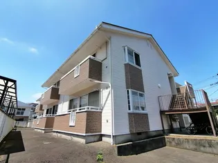 グレース鹿野の画像