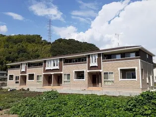 ワンゾーラの画像