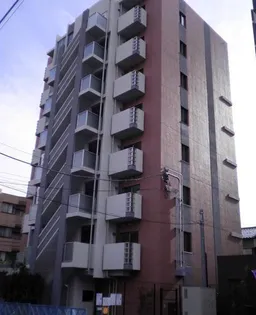 ルクソール スターの画像