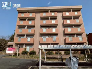 際波フォレストウインズの画像