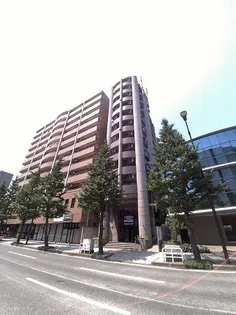 アネシス小文字の画像