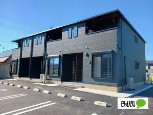 アンバーの画像