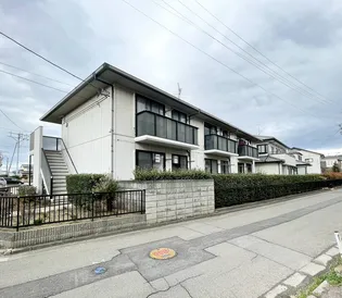 クローカスルミノワの画像