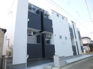 SETA BRILLANTEの画像