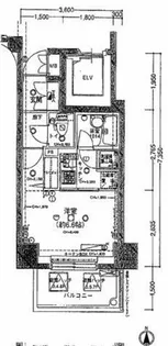 PALACE STUDIO文京音羽【3階】の間取り