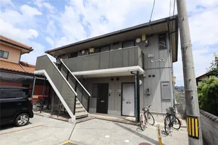 ディアスSOの画像