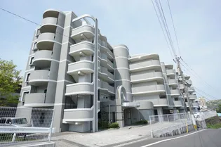 ヒルサイド守恒の画像