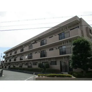 DEAR COURT明の春の画像