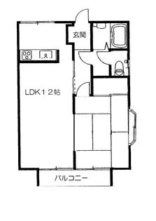 ハイツキャロット【2階】の間取り