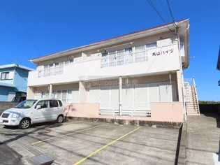 丸山ハイツの画像