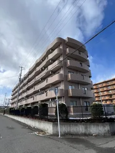 ビアン本間IIの画像