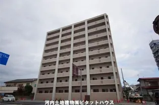 アマルフィーノの画像