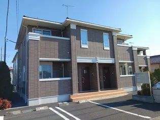 プリムラ カーサの画像