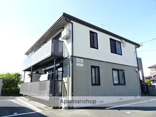 エバーグリーンの画像