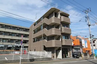 コットンKの画像