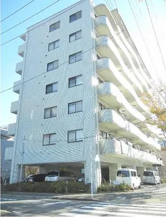 ルミエールの画像