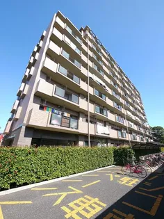 埼玉県戸田市大字新曽【マンション】の外観