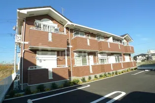 サン ウッドの画像