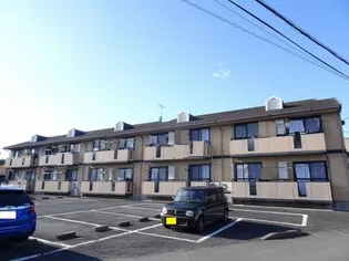 エレファントファイブの画像