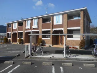 ハナミズキⅠの画像