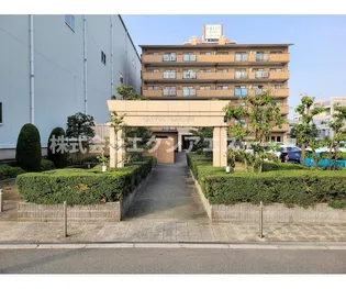 カクタスガーデンの画像