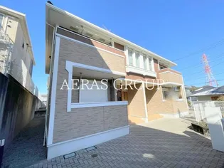 マウンテンメープルの画像