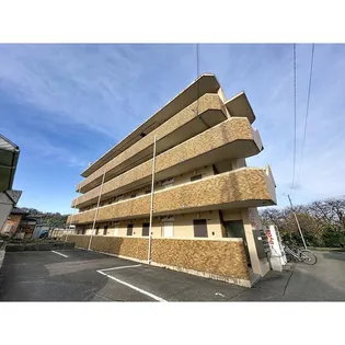 シャテロの画像