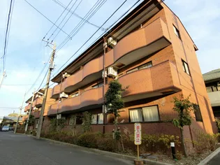 ピエ タ ピエの画像