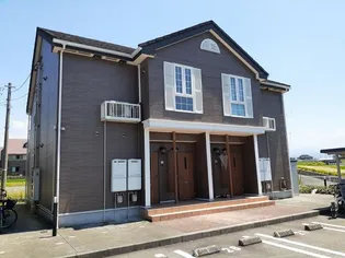 ペルペティアEの画像