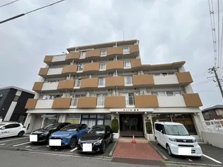 ドミール石川【2階】の外観