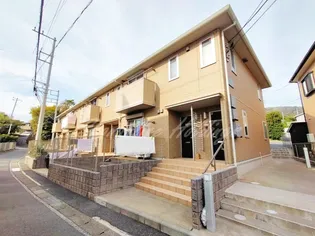 サニーグレイスの画像