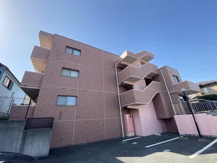 パンセ チェリーの画像