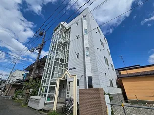 ホワイトタイムの画像