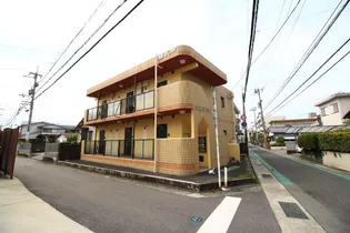 ハウスパンプキンの画像