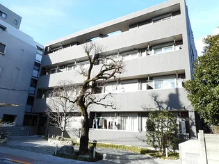 テラフォルテSの画像