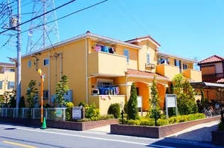 エテルノフィオーレBの画像